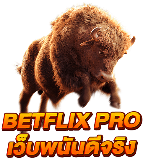 betflix pro เว็บพนันดีทีสุด